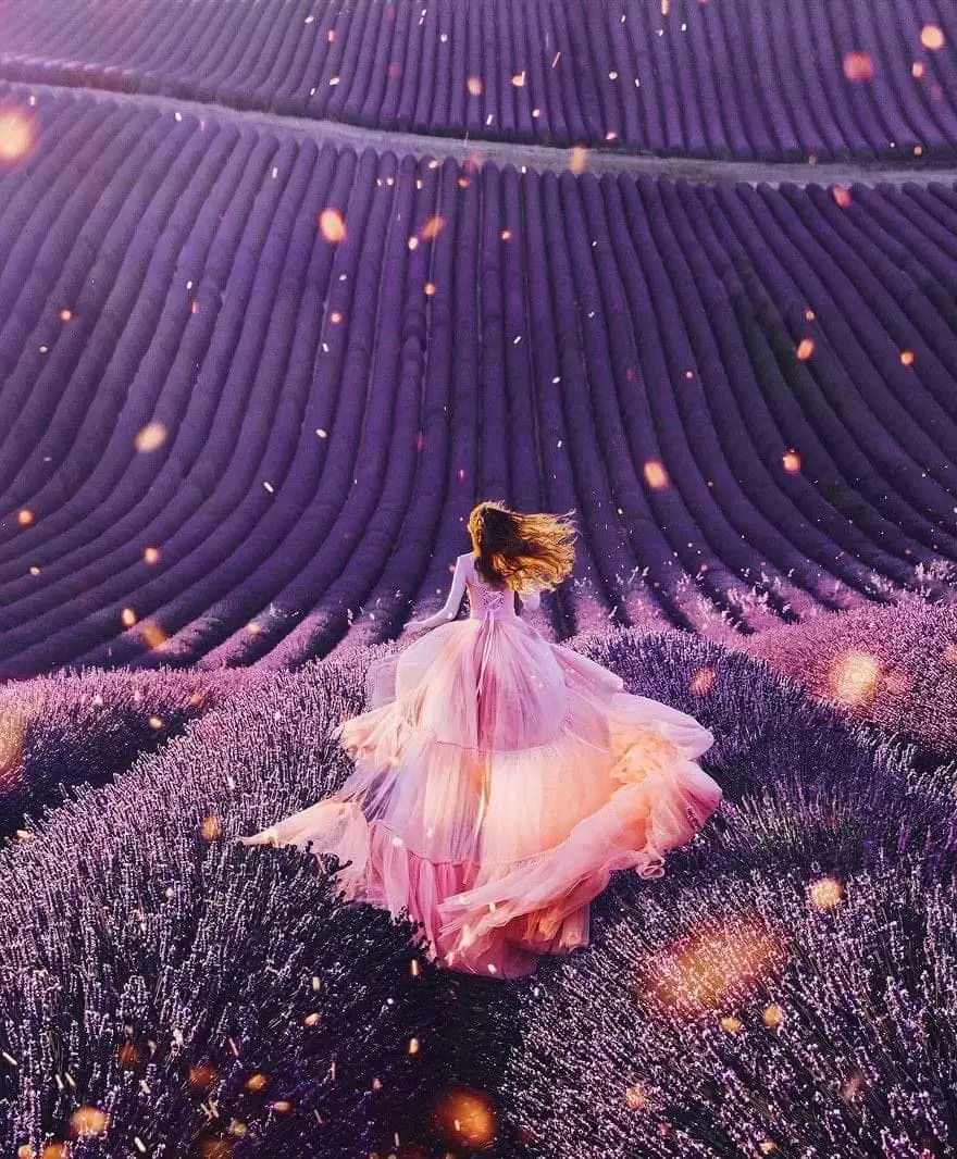 ĐƠN CÔI