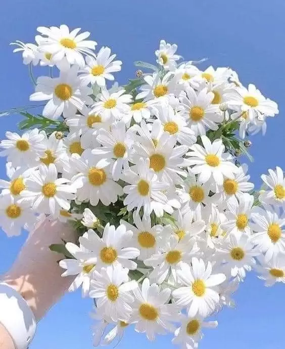 NẾU MỘT NGÀY NÀO ĐÓ