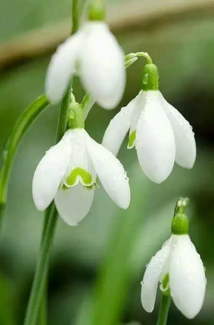 NGƯỜI ĐỪNG HỨA
