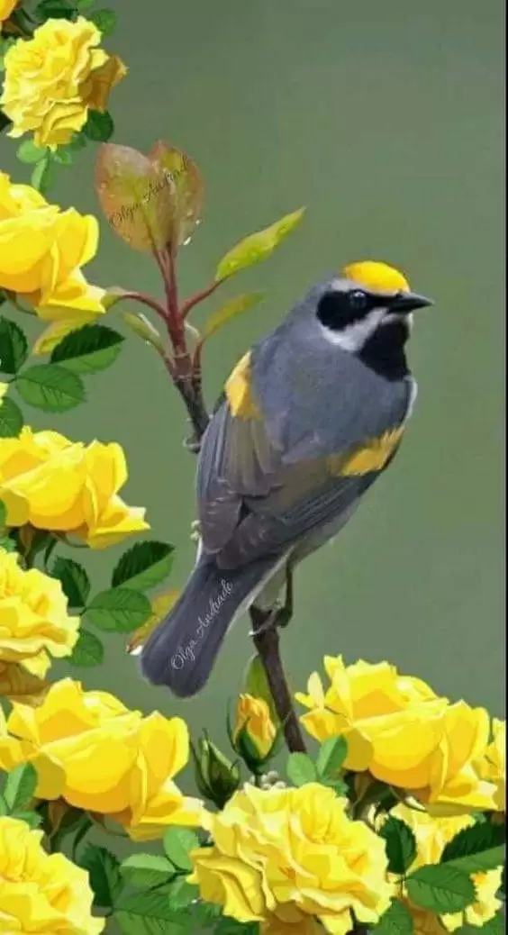 QUÊN LÃNG BÓNG HÌNH XƯA