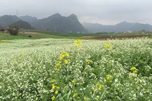 Tự Dưng Con Thấy Nhớ