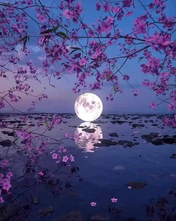 VẦNG TRĂNG VỠ