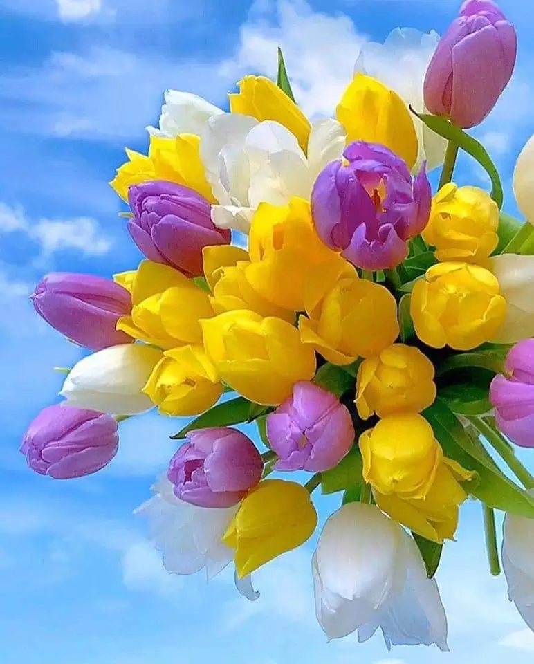 VẬY GIÓ NHA…!