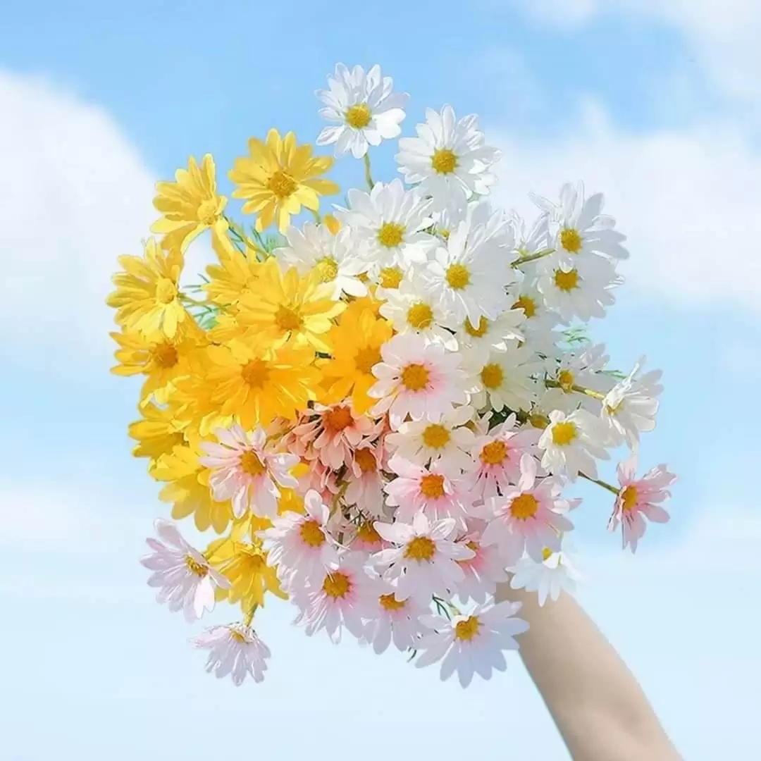VỜ….